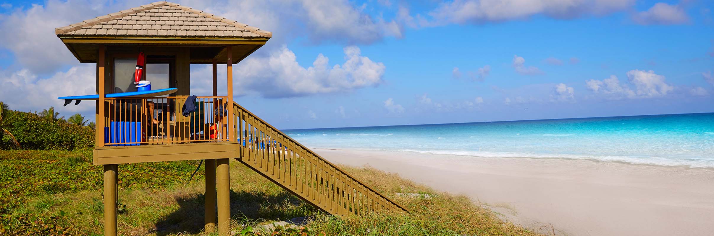 Web Designer in Delray Beach, FL