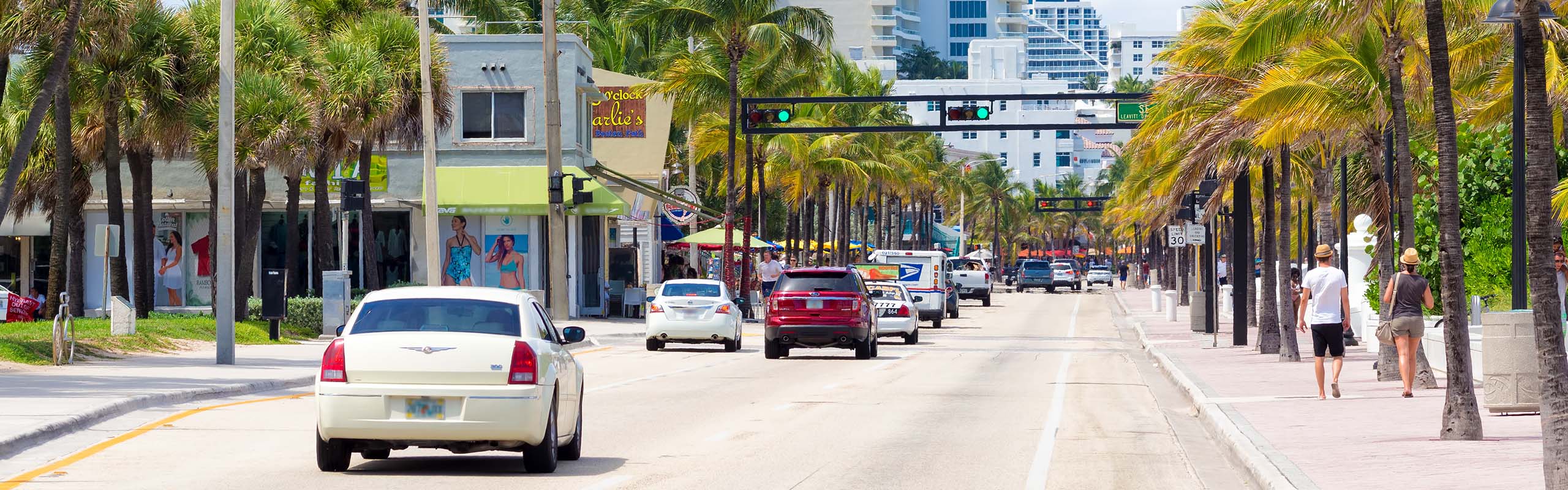 Web Designer in Fort Lauderdale, FL