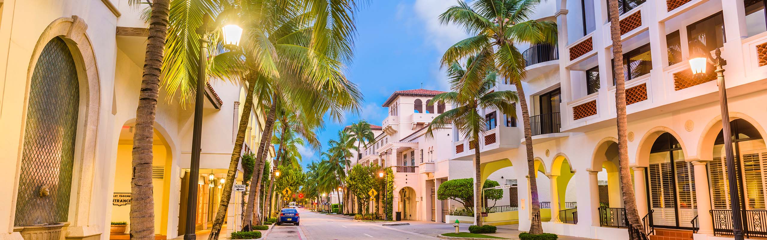 Web Designer in Palm Beach, FL