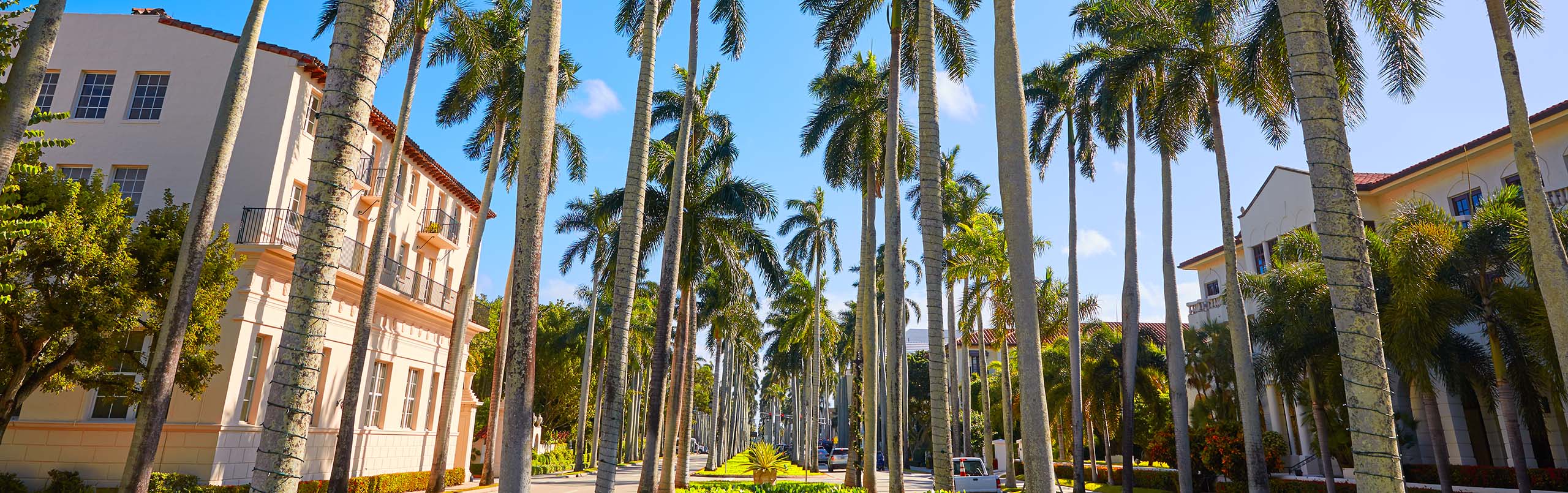 Web Designer in Royal Palm Beach, FL