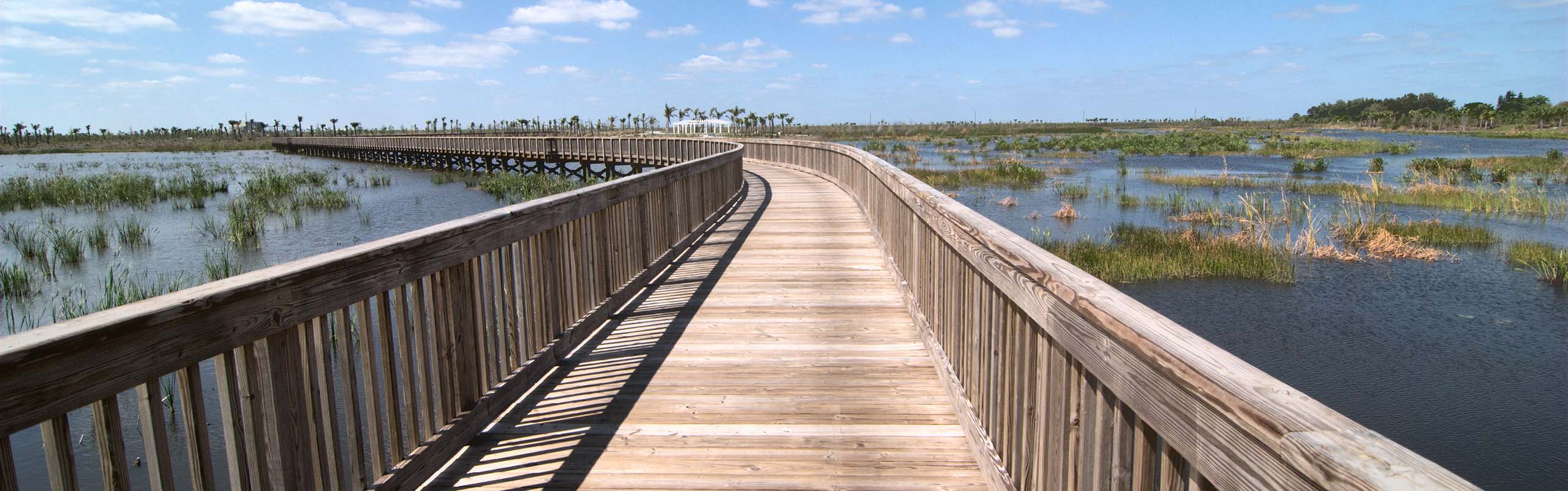 Web Designer in Wellington, FL