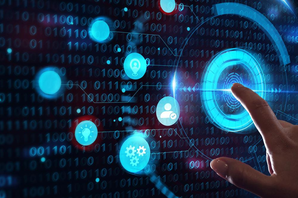 The Future of Web Design in Florida: Accessibility, Sustainability, and Engaging Digital Experiences