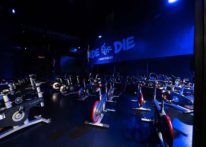 BQE Fitness