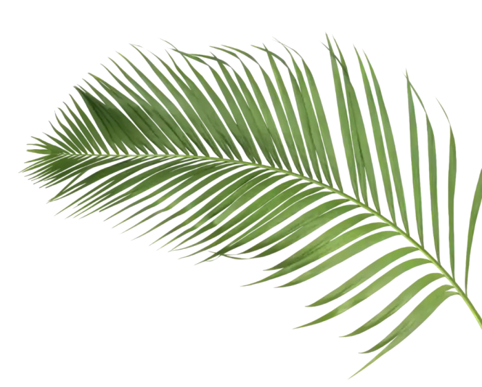 Palm Leaf Right